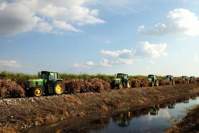 Florida Sugar Cane League The Voice of Florida Sugar Cane Farmers