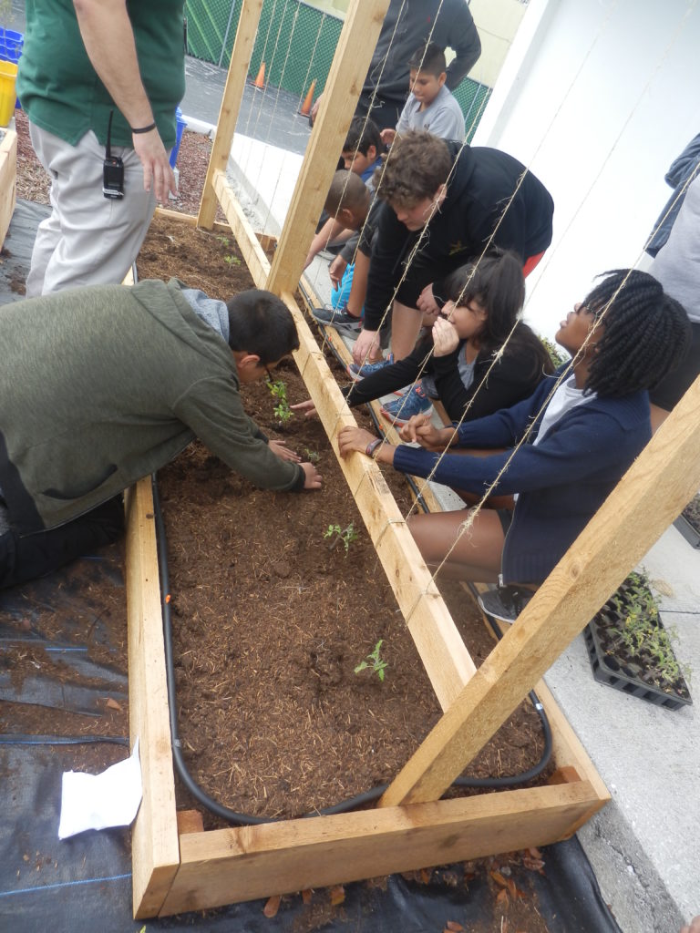 News Florida Sugar Cane League