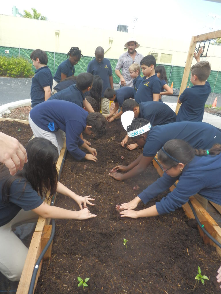 Academy for Positive LearningPlanting Day! Florida Sugar Cane League